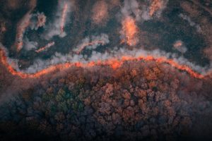 ed6f4935a83bcac6996dd9b1b48d6c9e